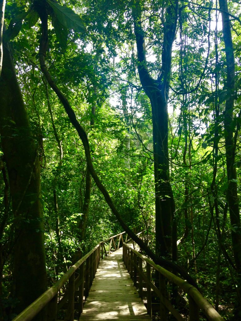 Costa Rica - Manuel Antonio - Trilha Parque Nacional