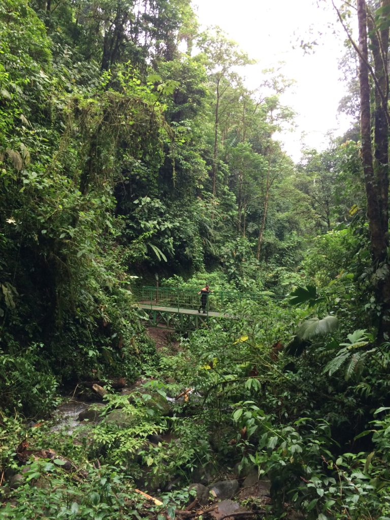 Dicas Costa Rica - Roteiro em La Fortuna - Vulcão Arenal - Hanging Bridge - Ponte Suspensa