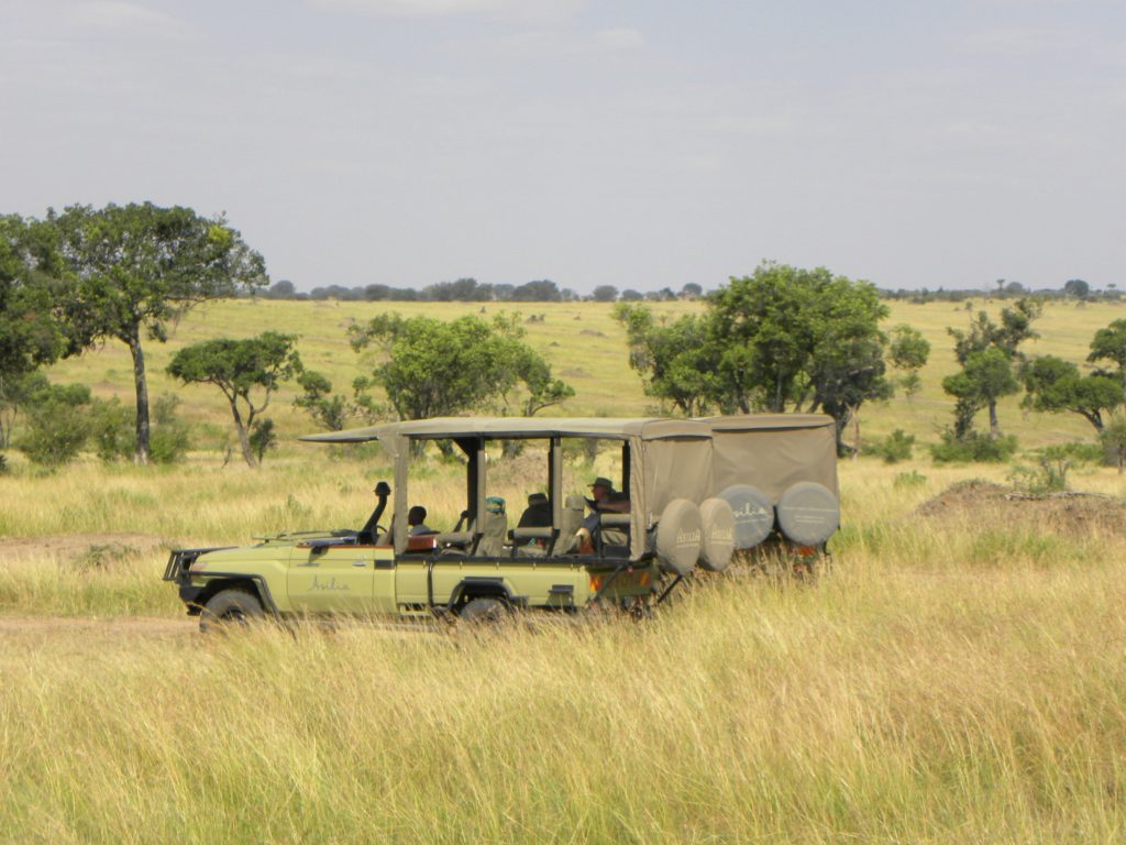 Grande Migração Safari Serengeti - Tanzania