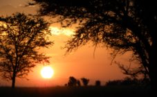 Grande Migração Safari Serengeti - Tanzania