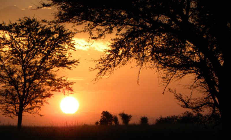 Grande Migração Safari Serengeti - Tanzania