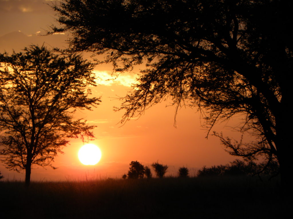 Serengeti sunrise 