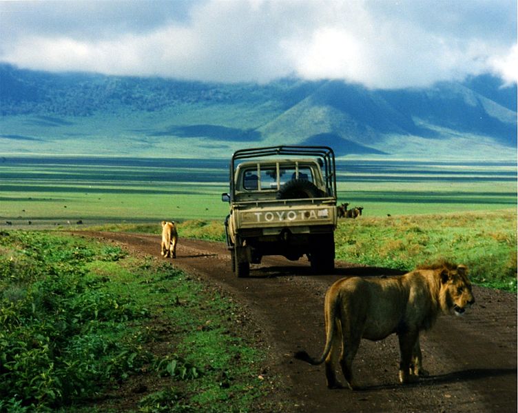 Dicas e Roteiro de viagem Cratera de Ngorongoro - Safári