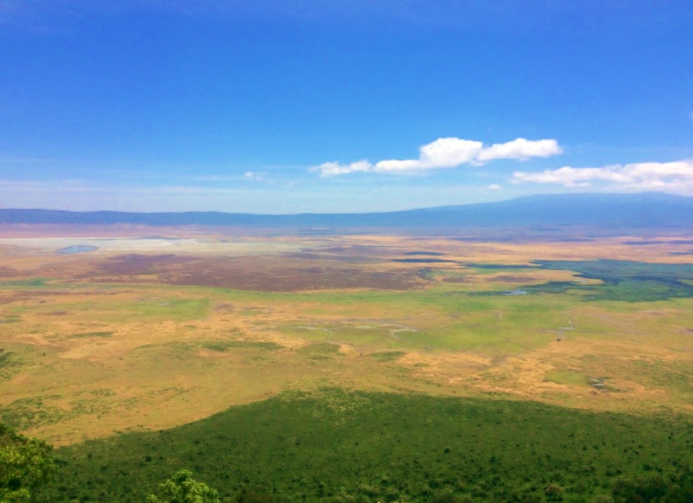 Dicas e Roteiro de viagem Cratera de Ngorongoro - Safári