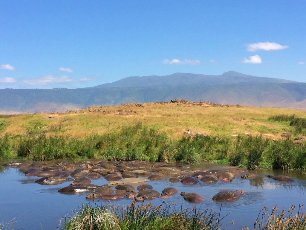 Como chegar e o que fazer na Cratera Ngorongoro - Tanzânia