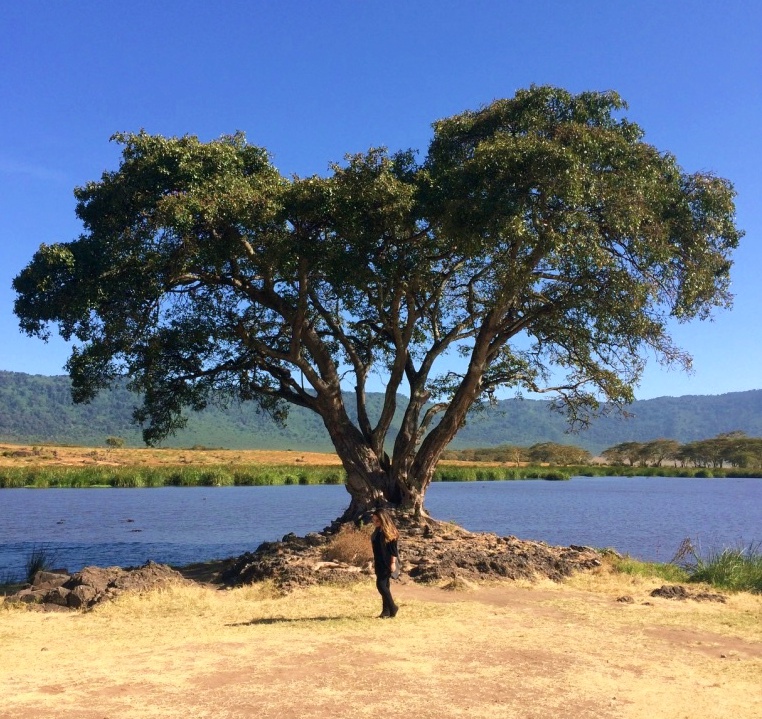 Dicas e Roteiro de viagem Cratera de Ngorongoro - Safári