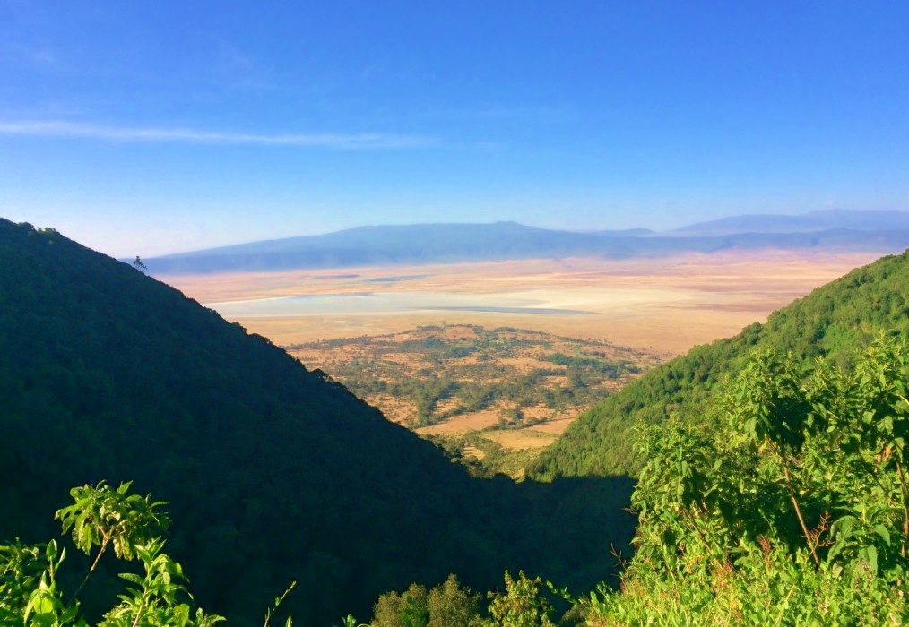 Dicas e Roteiro de viagem Cratera de Ngorongoro - Safári