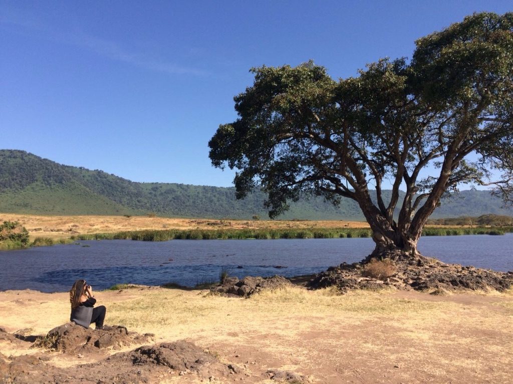 Ngorongoro Tanzania Hippo Pool