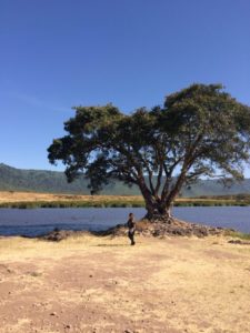 Ngorongoro Tanzania Hippo Pool