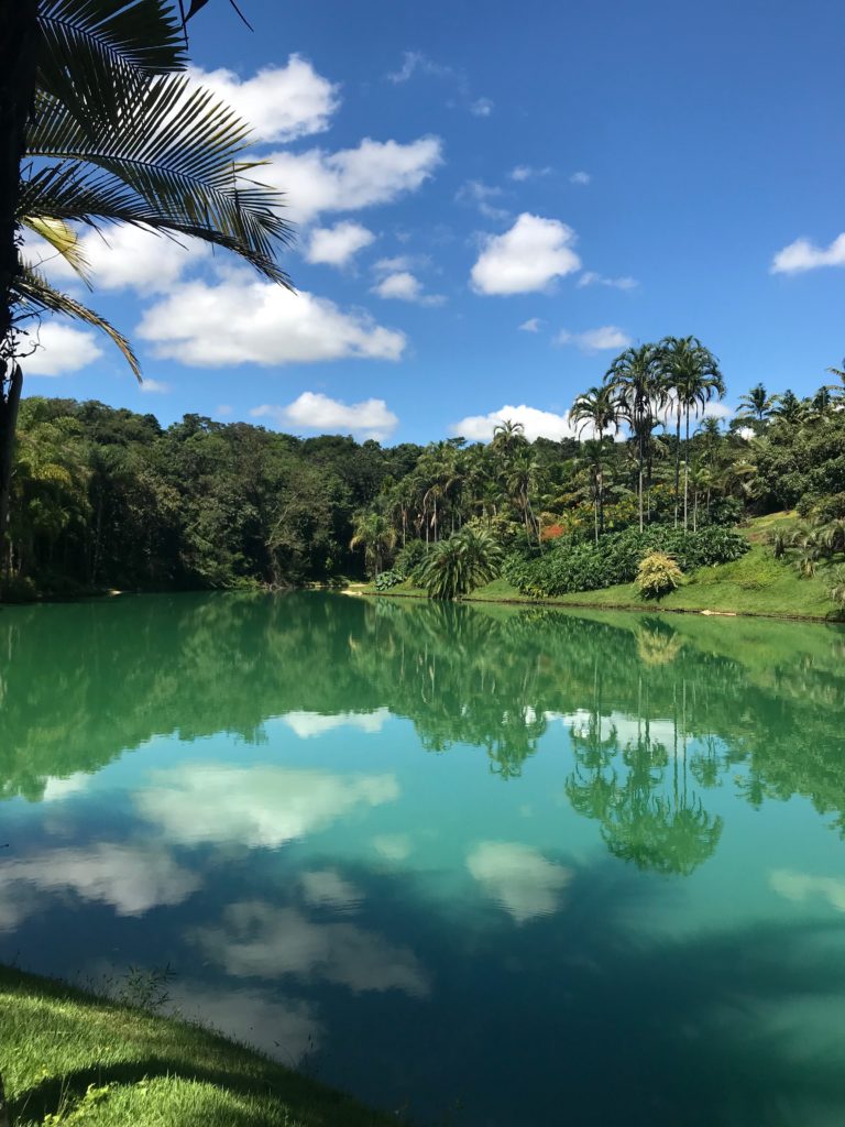 Inhotim Jardins, Dica, Roteiro, Como chegar, Jardim Botânico