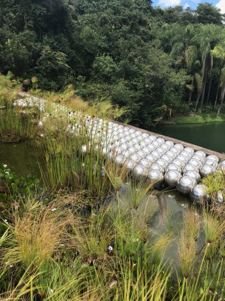 Obras Inhotim - Yayoi Kusama