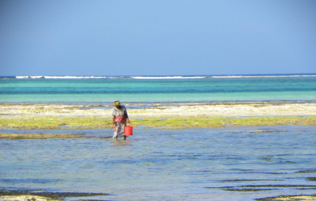 Pingwe - Zanzibar - Dicas de viagem - Praia mais bonita