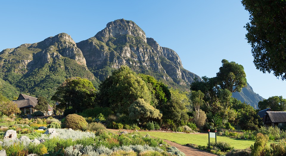 Jardim Botânico de Cape Town