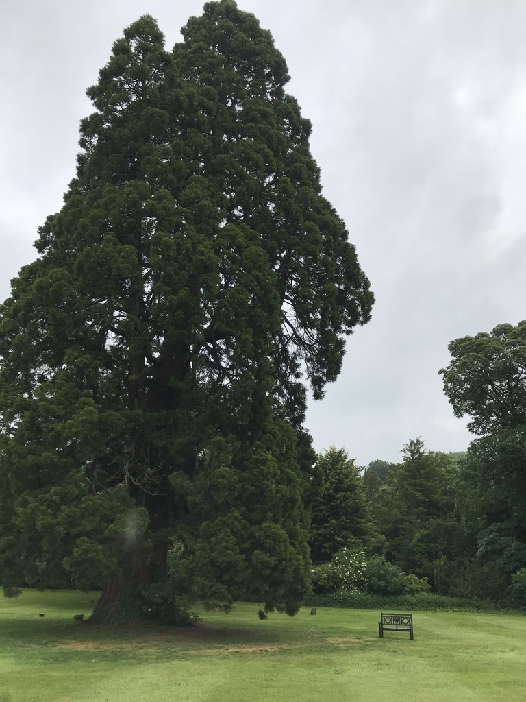 Bate e volta de Londres até Castle Combe - Cotswolds